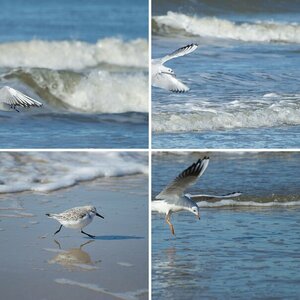 Nordsee