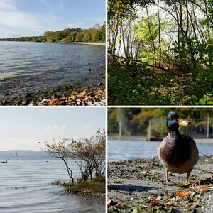 Am Bodensee