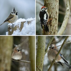 Winteransitz 2012/13