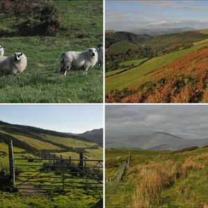 Wales