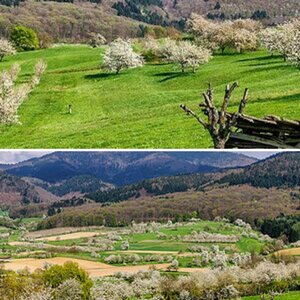 Landschaften