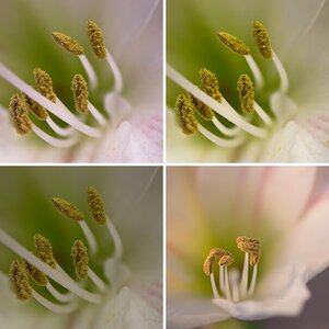 Diverses