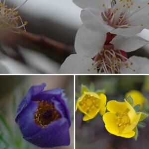 Meine Bilder