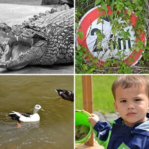 Testbilder D3100