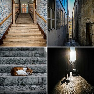 Forum Portfolio