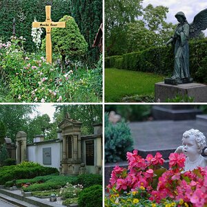 Schau heimwärts Engel - Friedhof