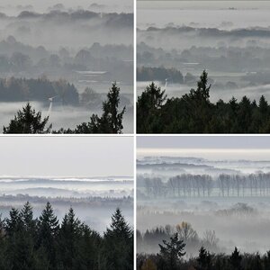 Morgennebel in der Hahnheide