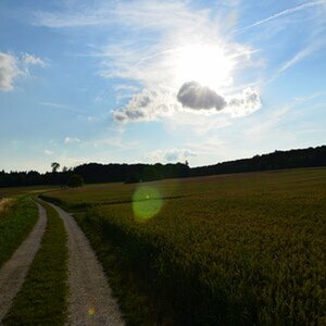 Test