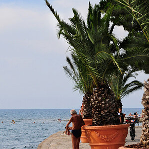 Der alte Mann am Meer 1
Eine schöne kräftige Palme und der eigentlich gar nicht so schöne Körper eines alten Mannes(starke Wirbelsäulenverkrümmung und