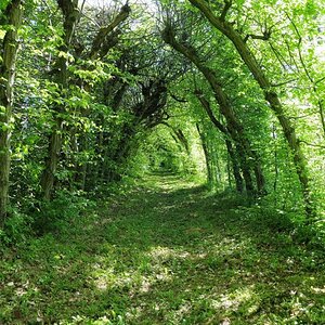 ...ein Tunnel! Und bestimmt 200m lang!