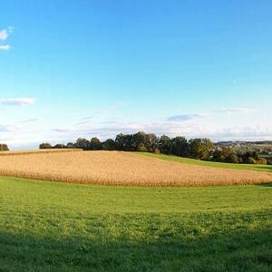 Herbstlicher Tag in der Gegend