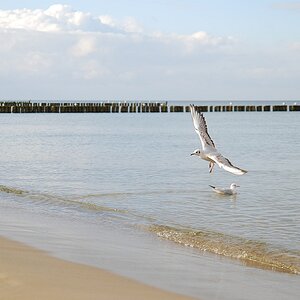 Koserow/Usedom Oktober 2008
