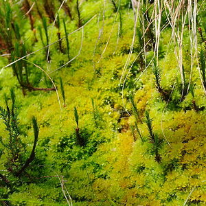 Allerheiligen 20081018 133104