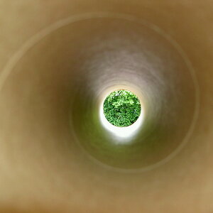 Bild  009