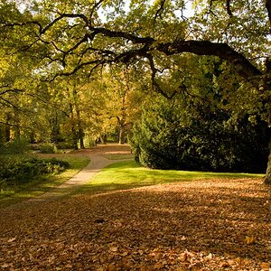 Ort: Friedhof Ohlsdorf in Hamburg