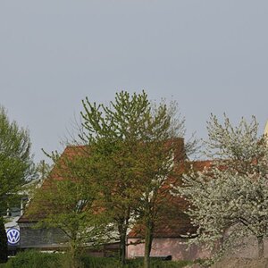 Auto & Natur