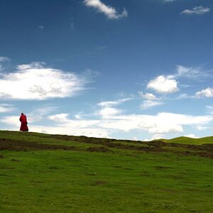 Lama in Ost Tibet auf dem Heimweg - August 2007