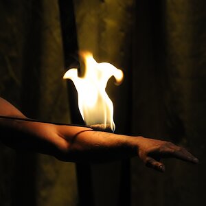Zirkus Hand