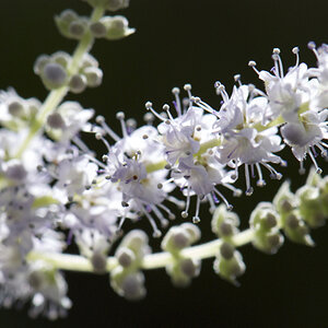 2008 02 27 Botanicher Garten 021