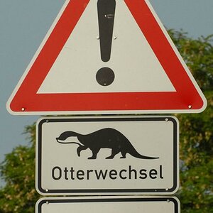 Otterwechsel 1