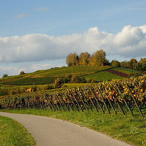 D03 2542