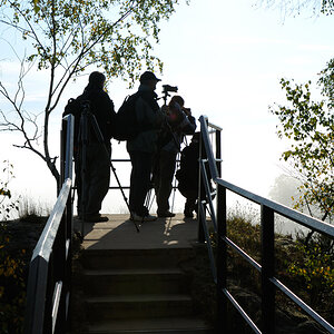 Elbe13