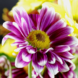 bild01