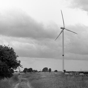 Windrad