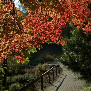D Herbstgluehen