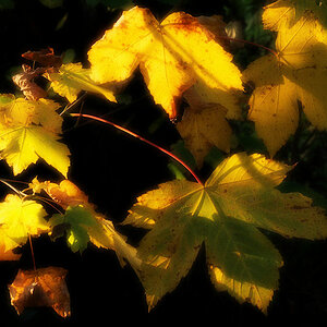 herbst10