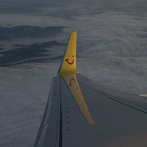 wing1