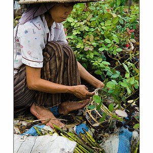 Mekong Blumen fuer Saigon 1