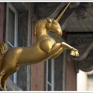 Das letzte Einhorn