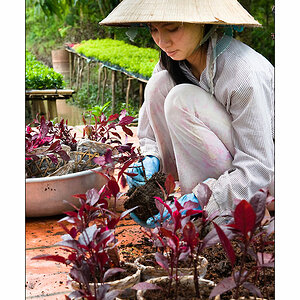 Mekong Blumen fuer Saigon 4