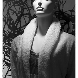 Model