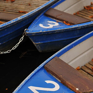 DSC 5287