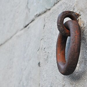 Rost