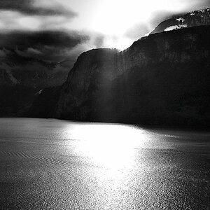 gegenlicht in SW