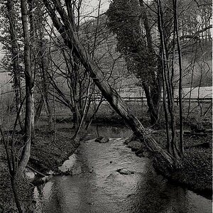 creek2