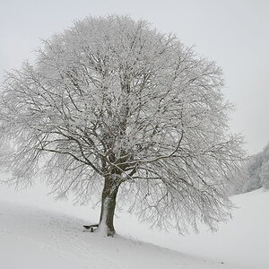 Dezember/Januar