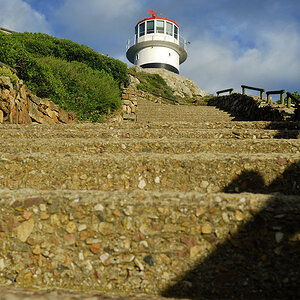 DSC 2919