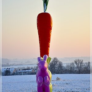 Hasen in Ostfildern im Abendlicht - Kunst? ;)