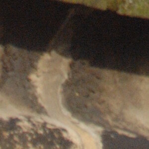 a turm tam crop2