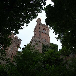 DSC 0874
