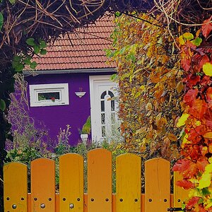 comp Bunter Herbst 2
