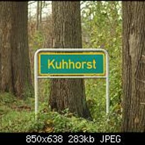 kuhhorst2