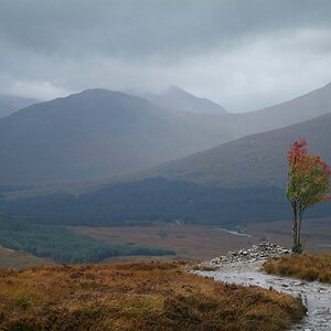 Highland Herbst