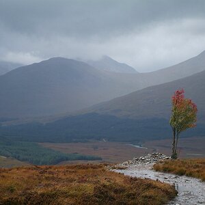 Highland Herbst b2