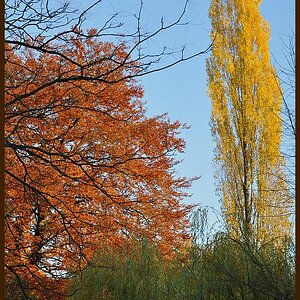 Marburg ABG 2010 DSD 2038 1