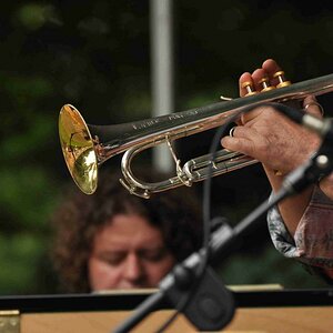 Jazz im Hofgarten Düsseldorf